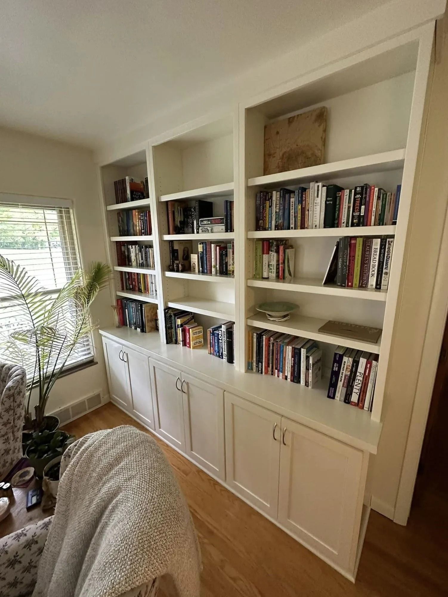 Built-in white bookshelves filled with books in a cozy living room with a plant and window blinds