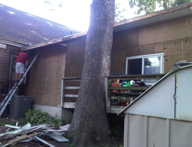 Person on a ladder repairing a roof beside a large tree and backyard shed.