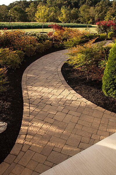 A curved brick walkway in a garden surrounded by trees and bushes.