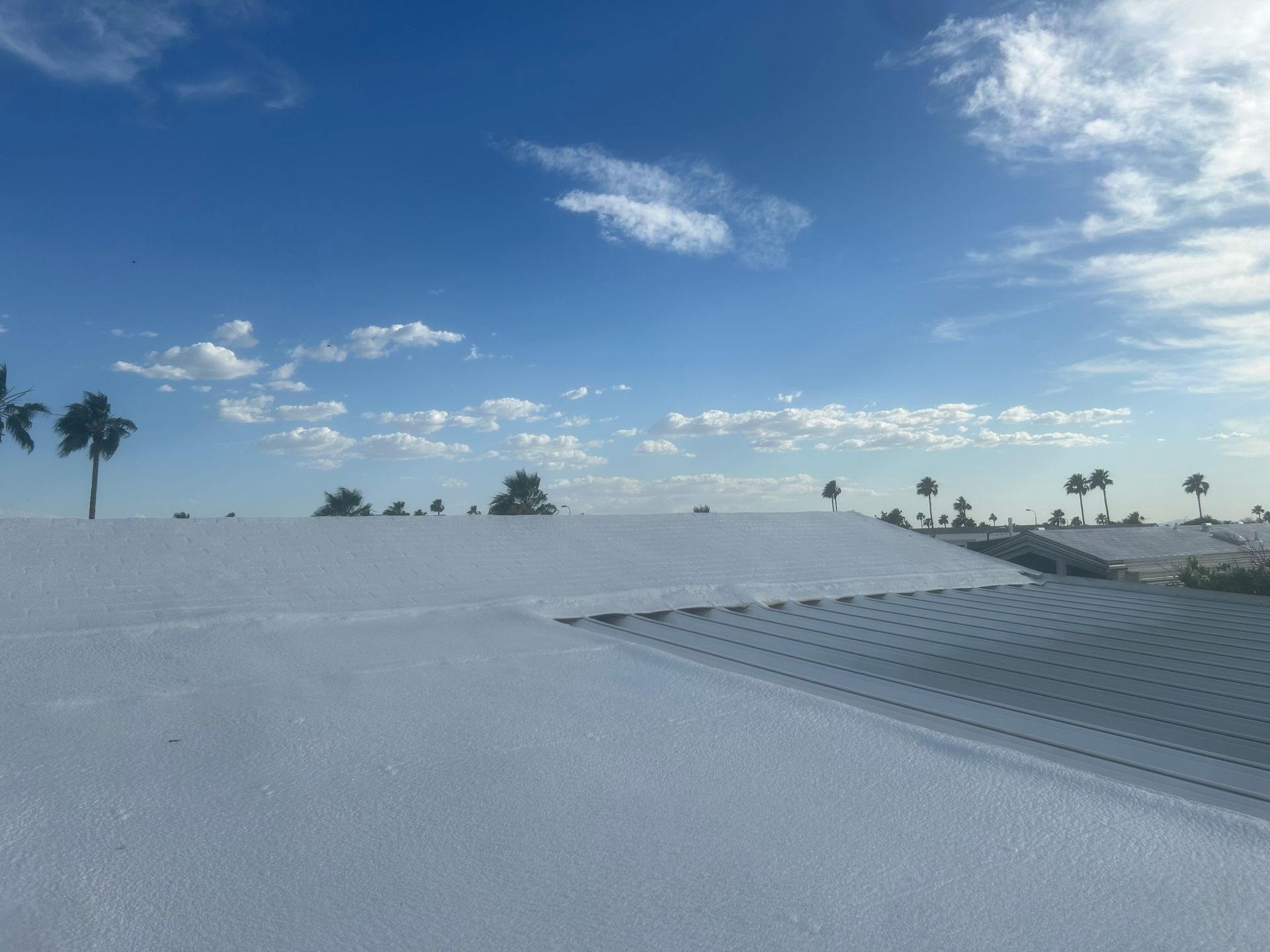 A snowy landscape with palm trees and a blue sky