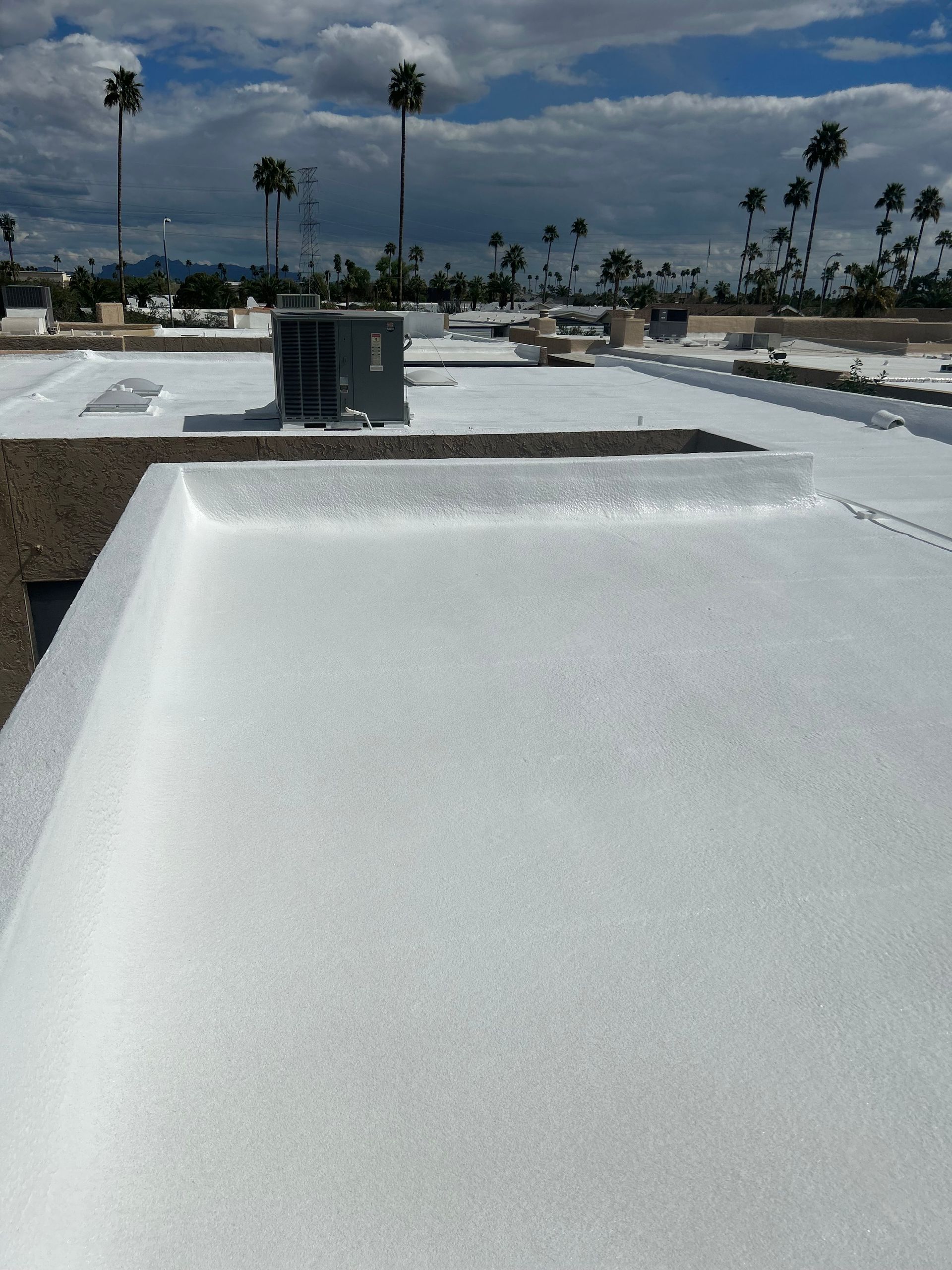 A white roof with palm trees in the background