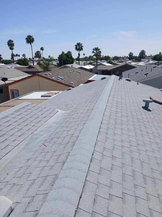 A rooftop view of a residential area with palm trees in the background