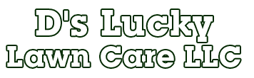 D's Lucky Lawn Care LLC - Logo