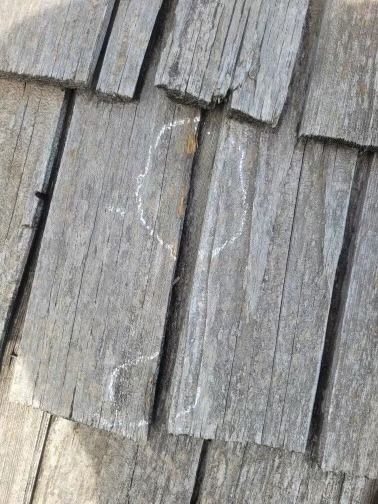 Close-up of weathered wooden shingles with a white, circular-ish marking on one.