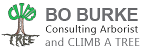 Bo Burke Consulting Arborist