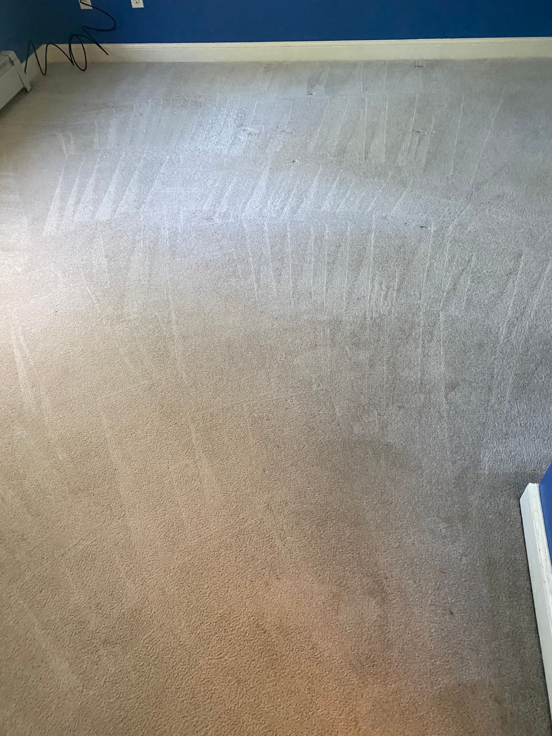 A bedroom with a carpeted floor and a blue wall.