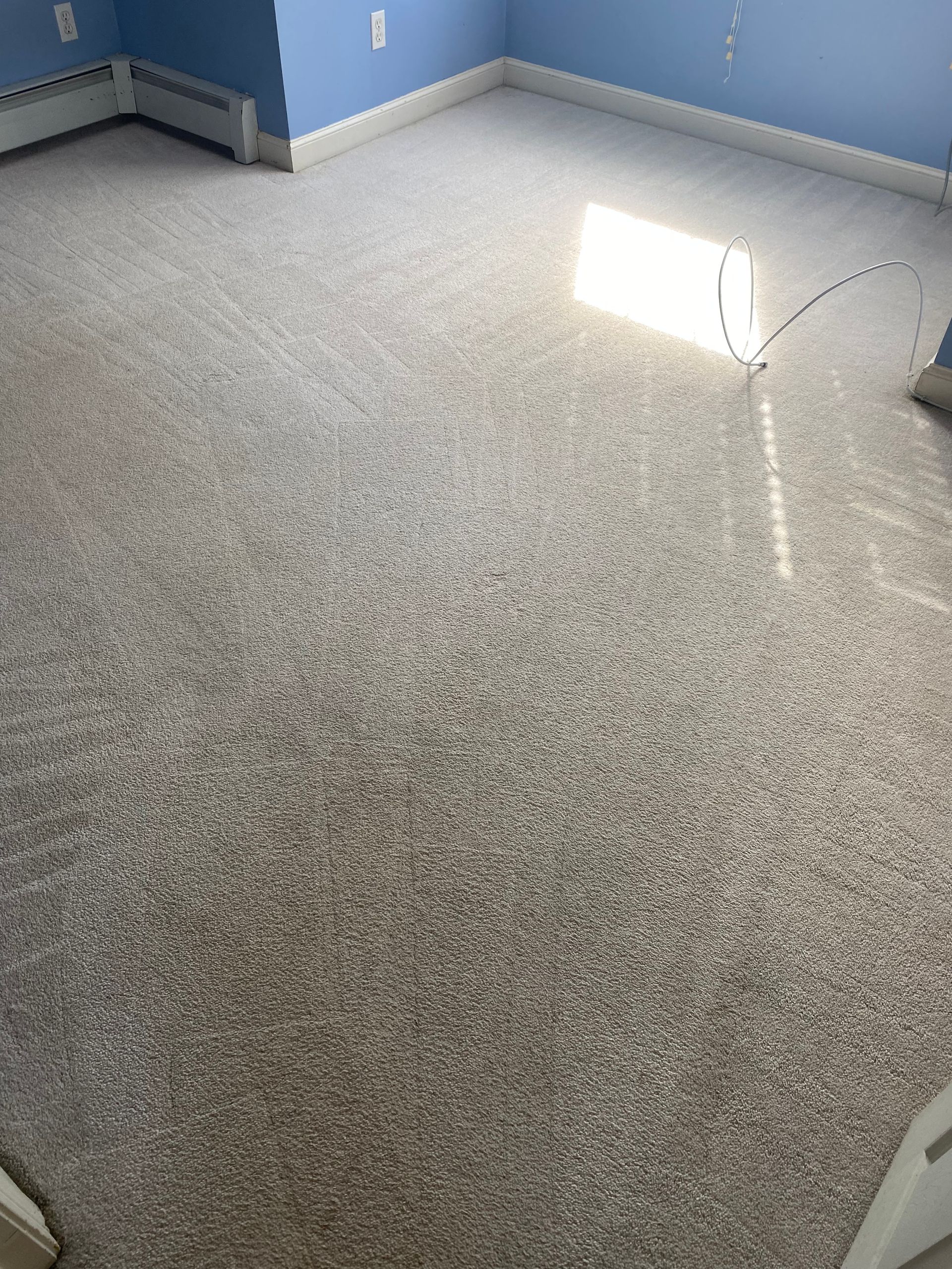 A room with a white carpet and blue walls.