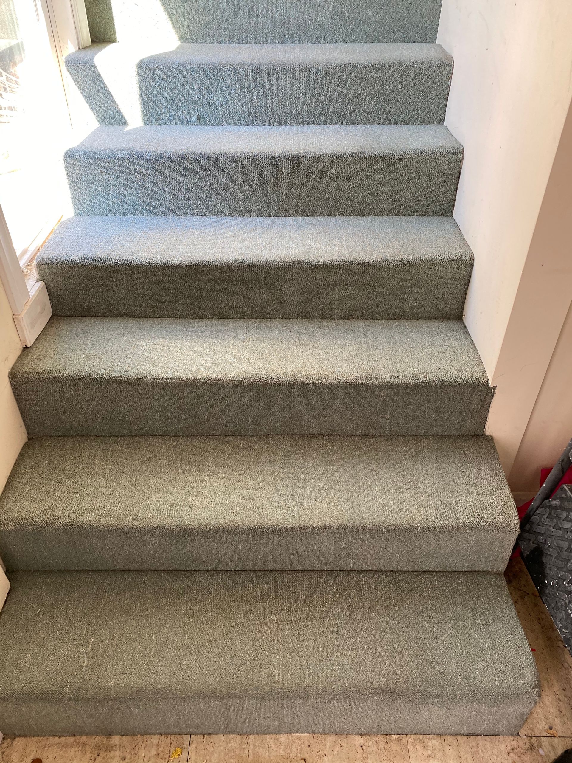 A close up of a set of stairs with carpet on them.