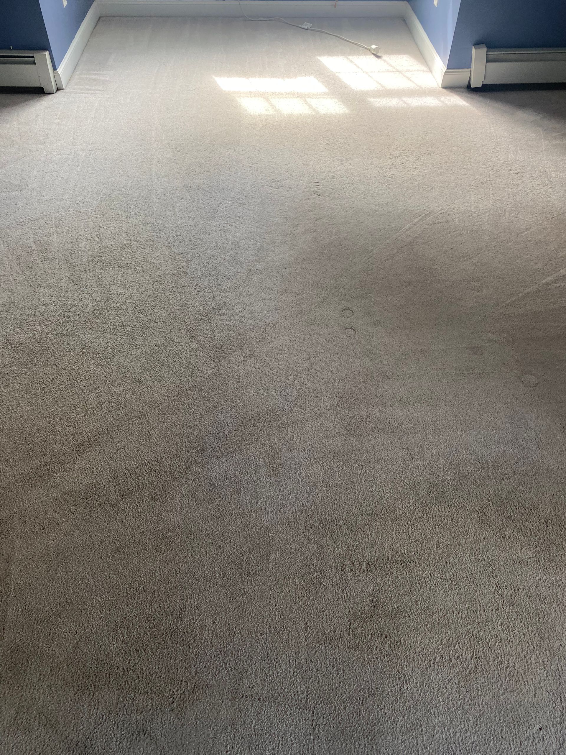 A room with a carpeted floor and blue walls.