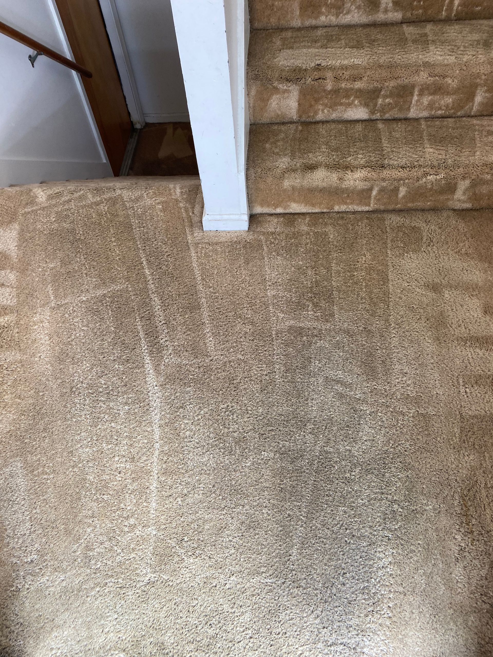 A close up of a carpeted floor next to stairs.