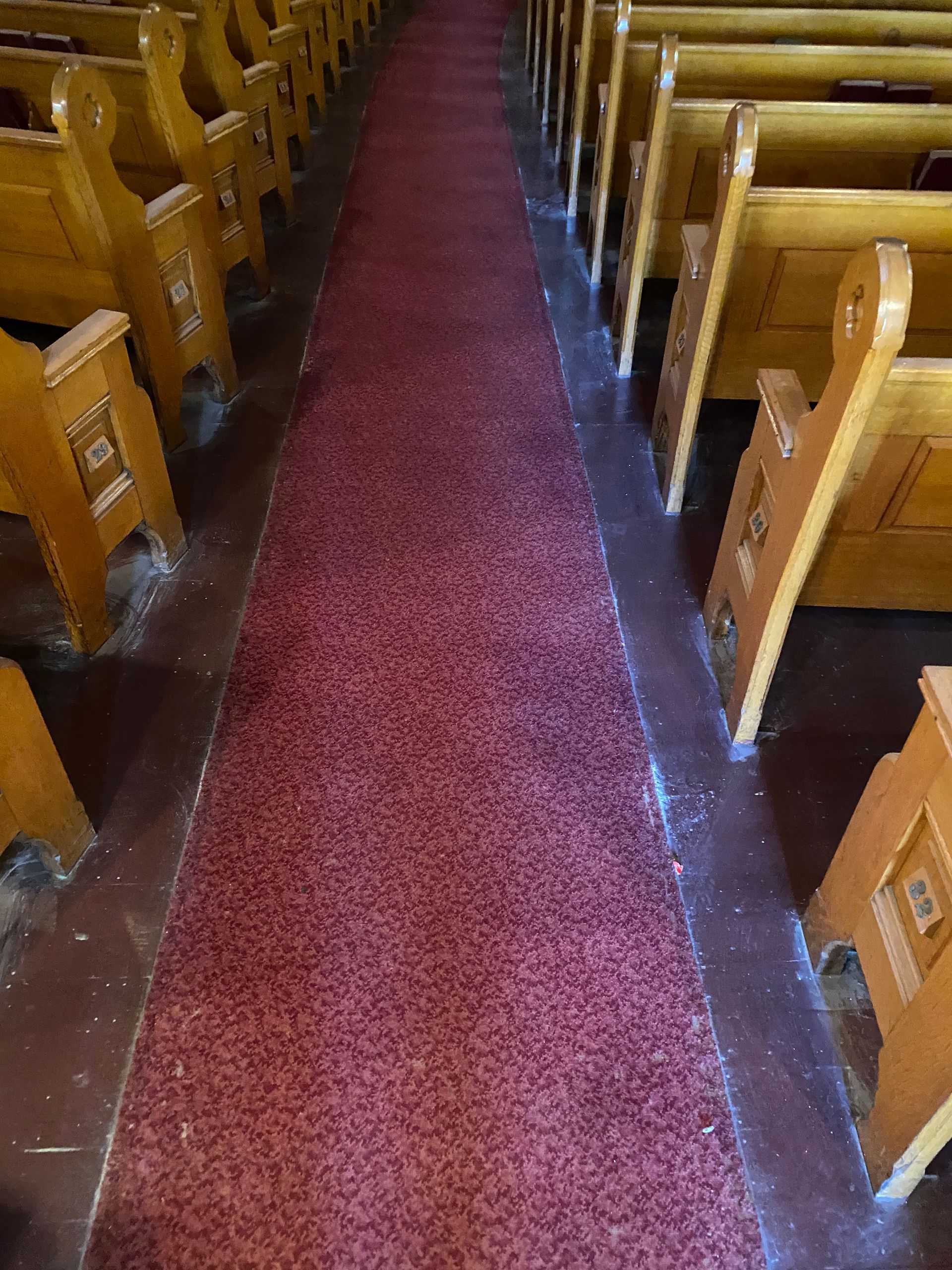 A row of wooden benches in a church with a red carpet between them.