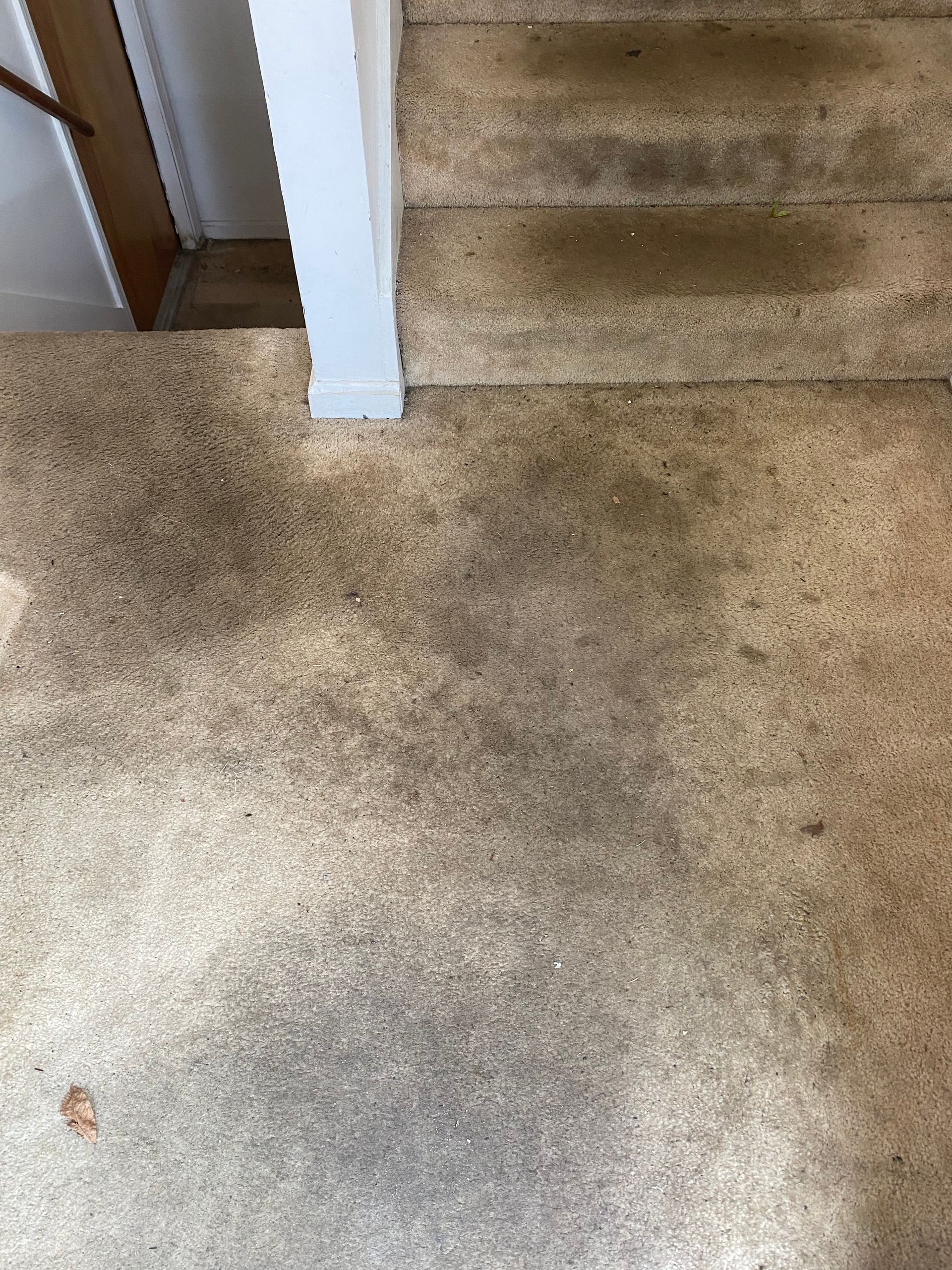 A dirty carpet next to a set of stairs.