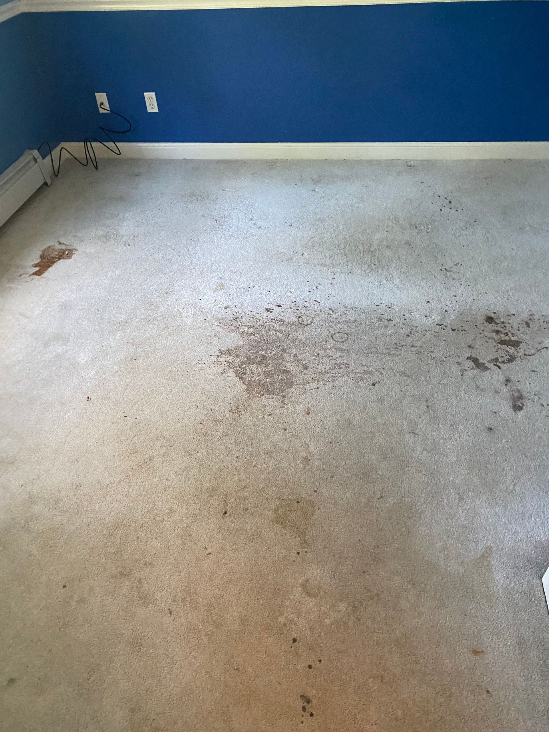 A room with a dirty carpet and a blue wall.