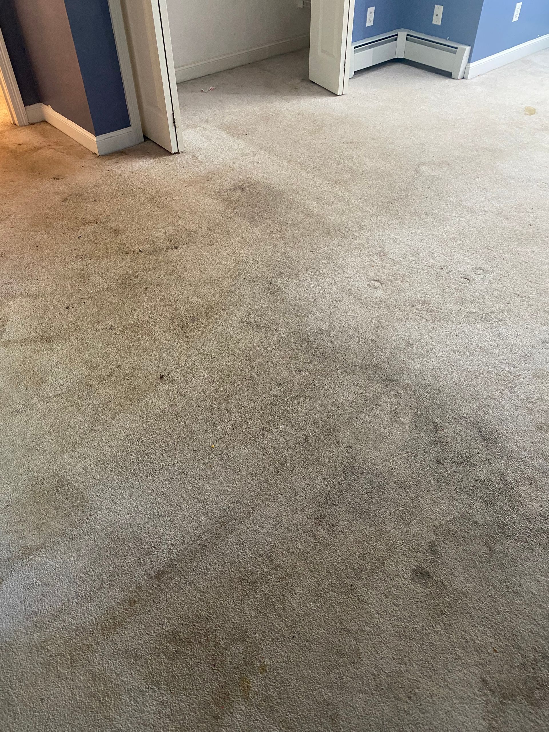 A room with a carpeted floor and blue walls.