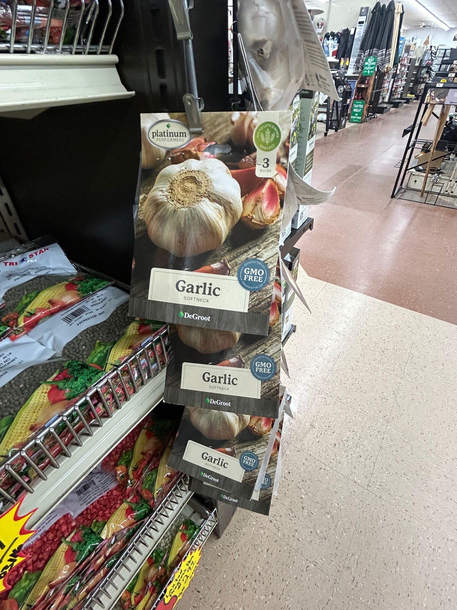 A display of garlic seeds in a store