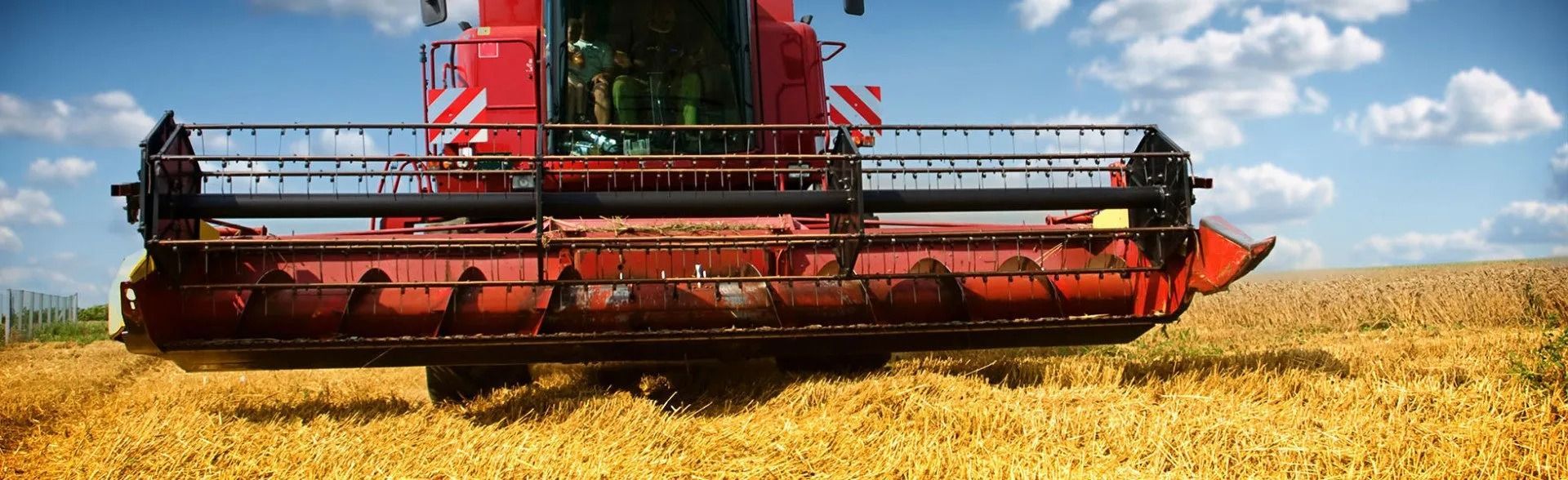 Red combine harvester cutting wheat in a golden field under a blue sky with clouds