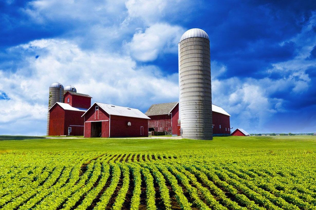 Red barns and a silver silo in a green field under a bright blue sky