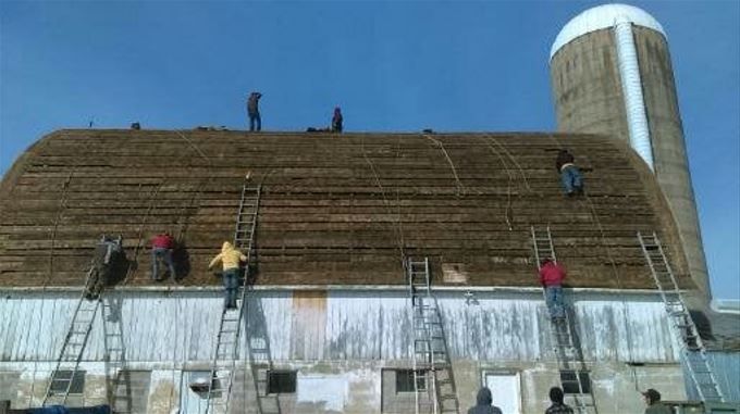 People on ladders repairing the roof of a weathered barn with a silo, sunny day.