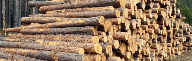 Firewood | Specialty Seasoned Firewood | Luzerne County
