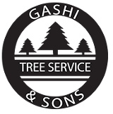 Gashi & Sons Tree Service-Logo