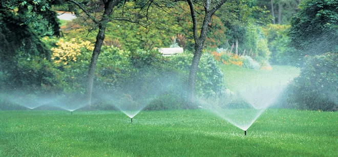 Sprinklers watering a lush green lawn in a leafy park