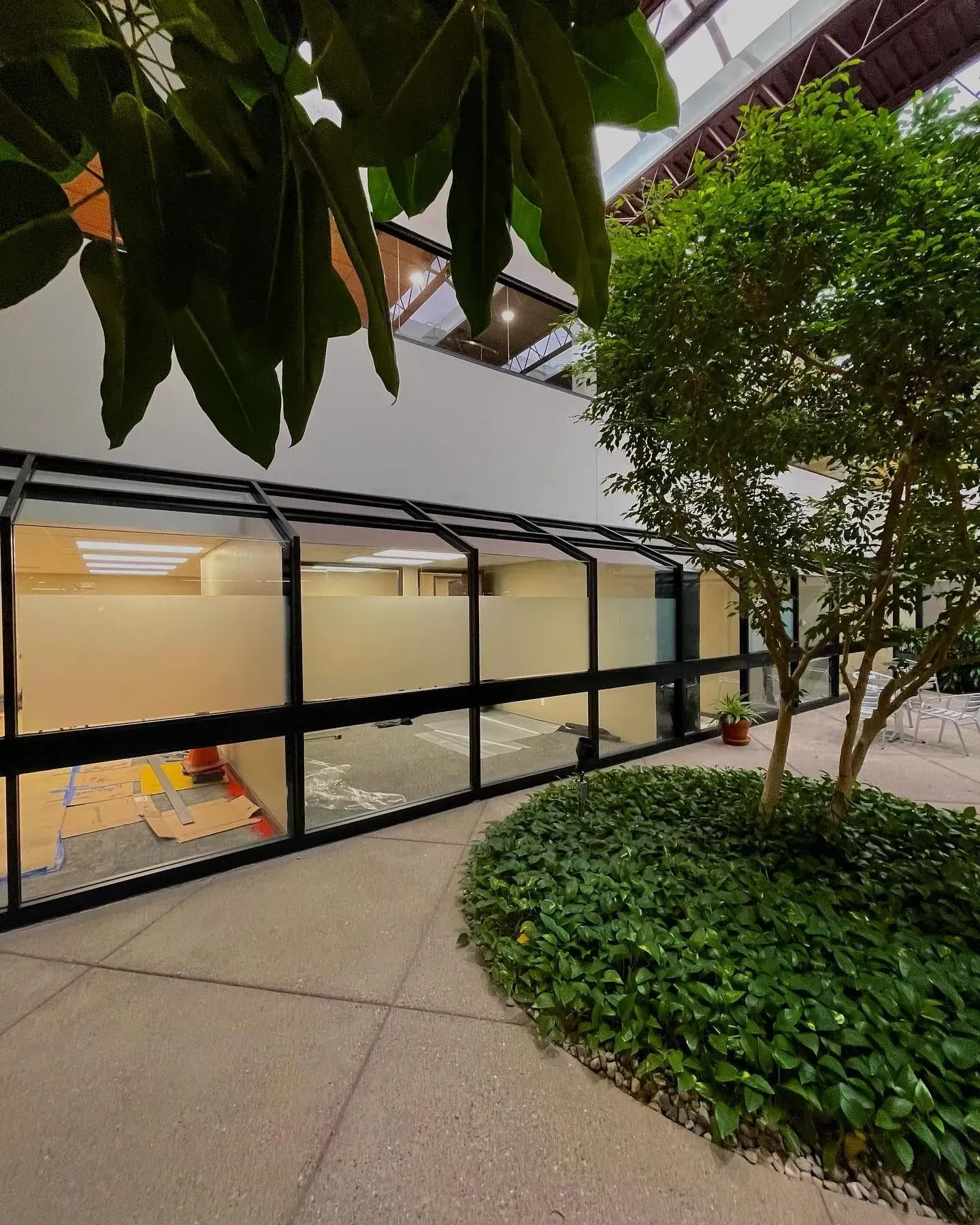 Modern indoor courtyard with glass-walled room, leafy trees, and landscaped greenery.