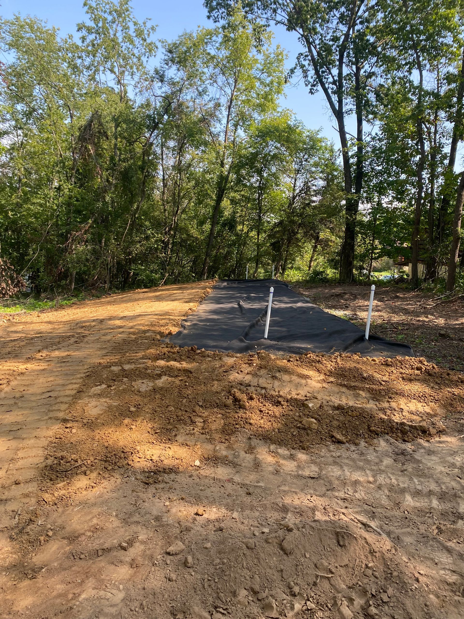 There is a lot of dirt in the middle of the woods.