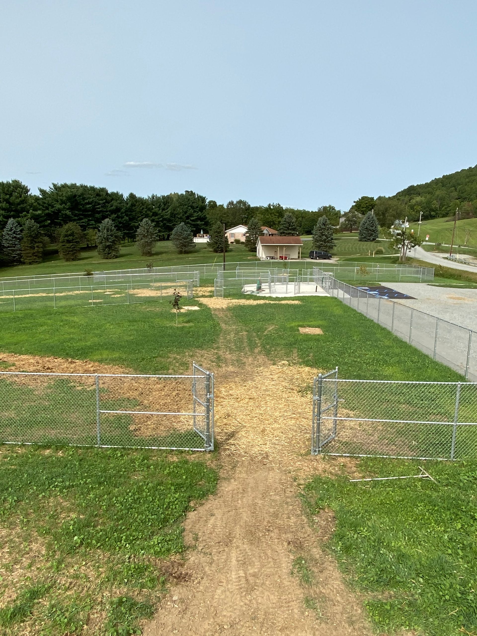 A dirt path going through a grassy field with a fence in the background