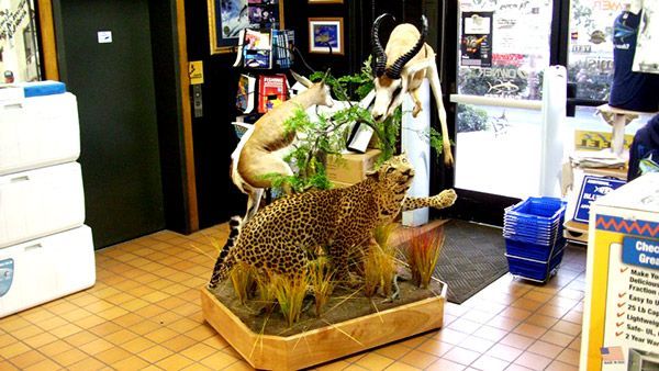 Custom Cheetah Mount