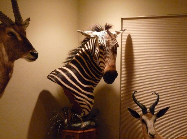 Zebra Pedestal Mount