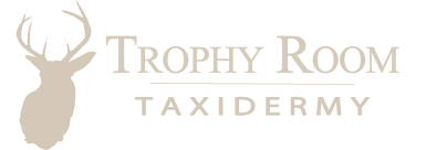 Trophy Room Taxidermy - logo