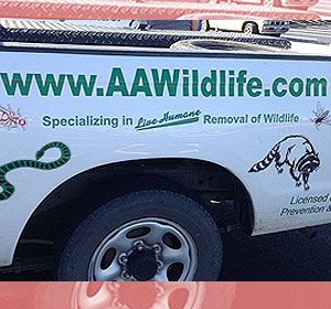 AA Wildlife truck