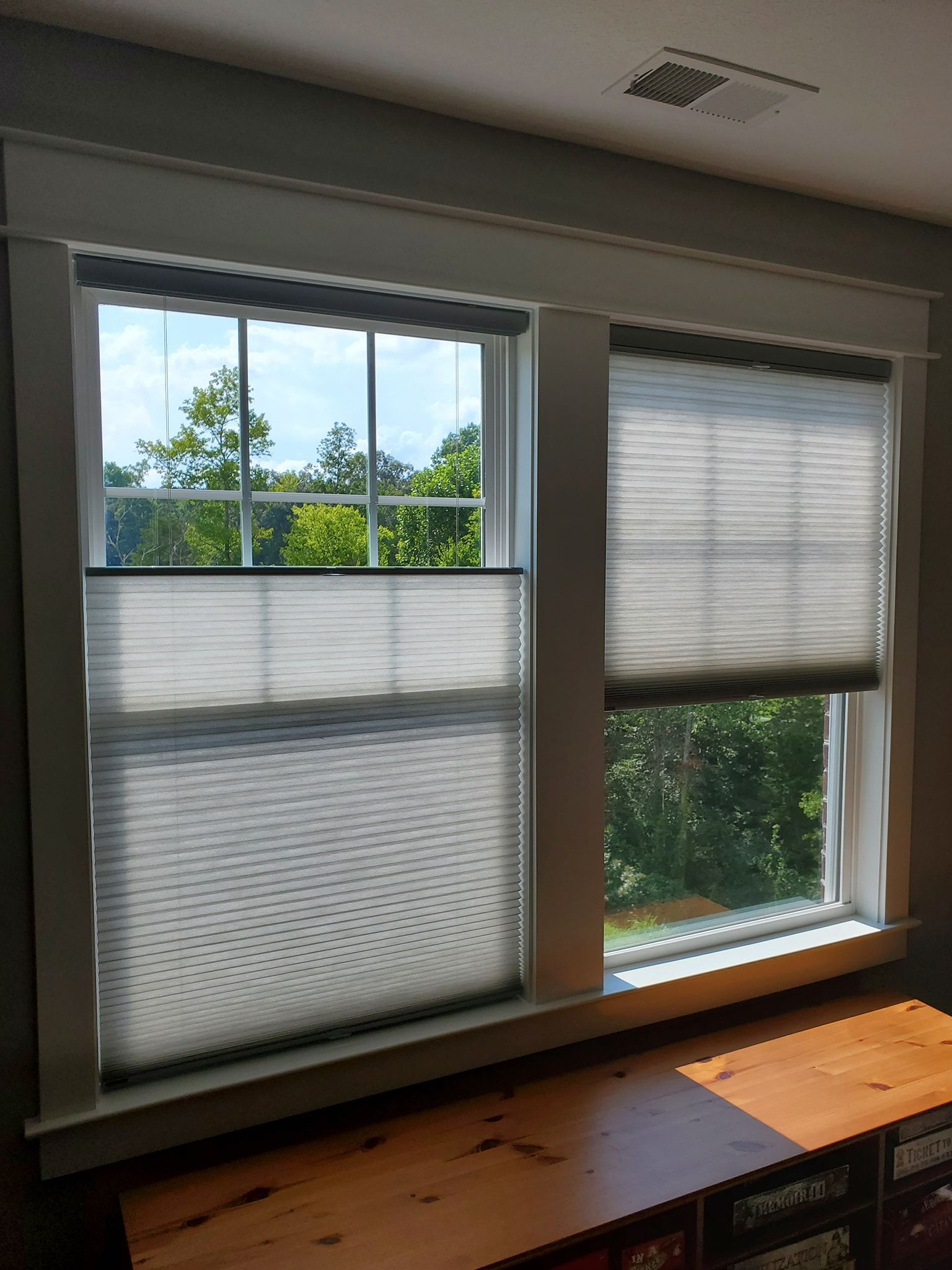 Two windows with light-colored honeycomb shades, trees visible through the glass. Wooden trim surrounds them.