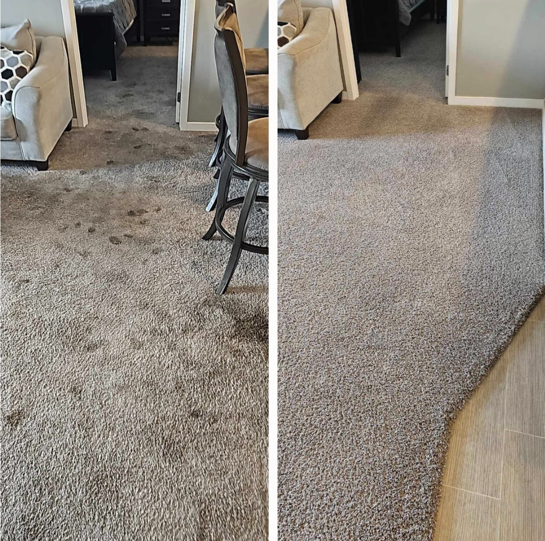 Comparison of dirty and clean carpet in a living room; brown carpet with dark spots on left, clean on right.