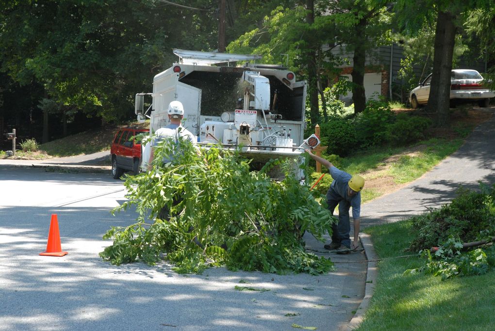 Two workers in hard hats feed tree branches into a wood chipper parked on a residential road.