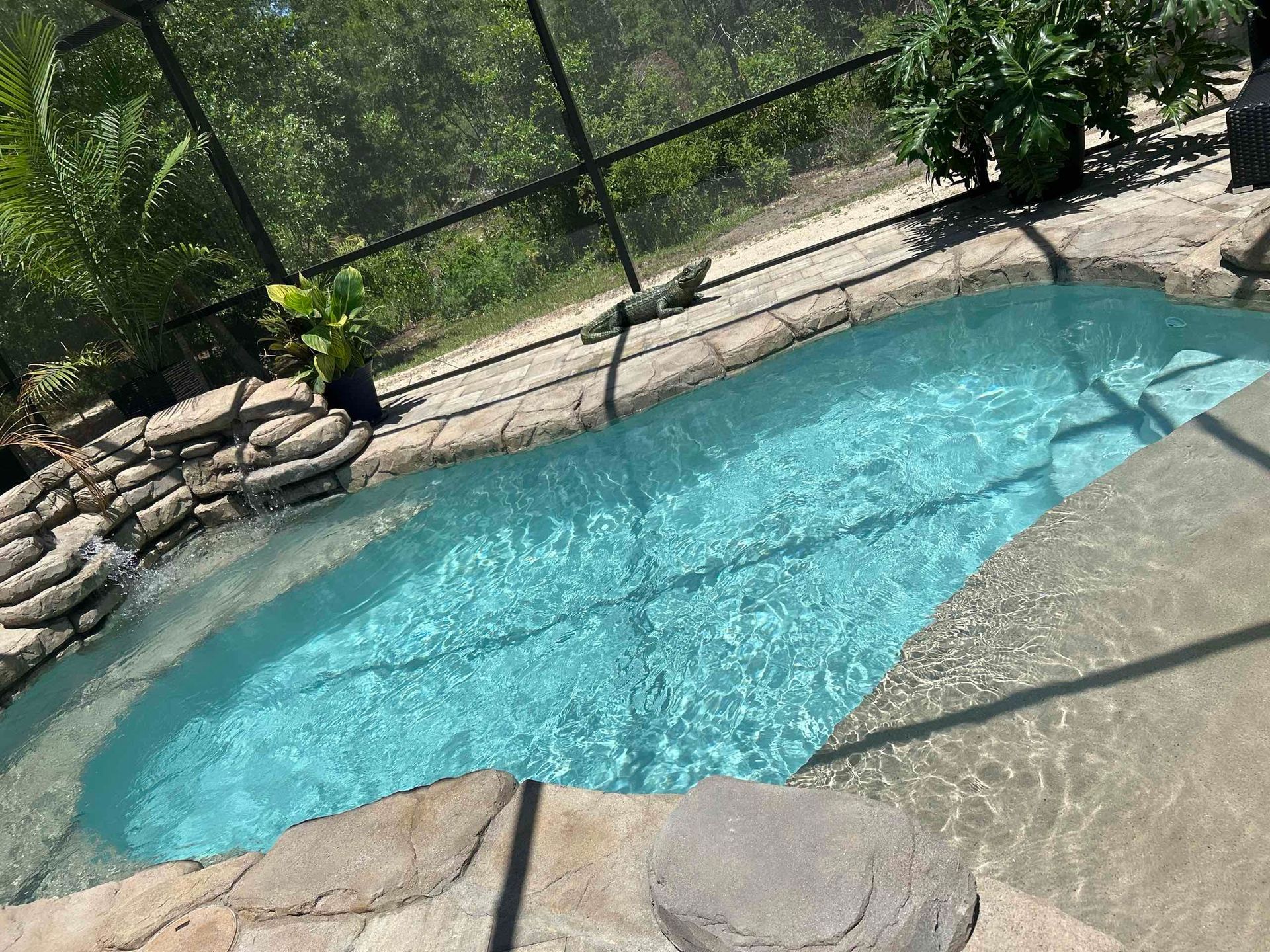 A large swimming pool surrounded by rocks and trees.