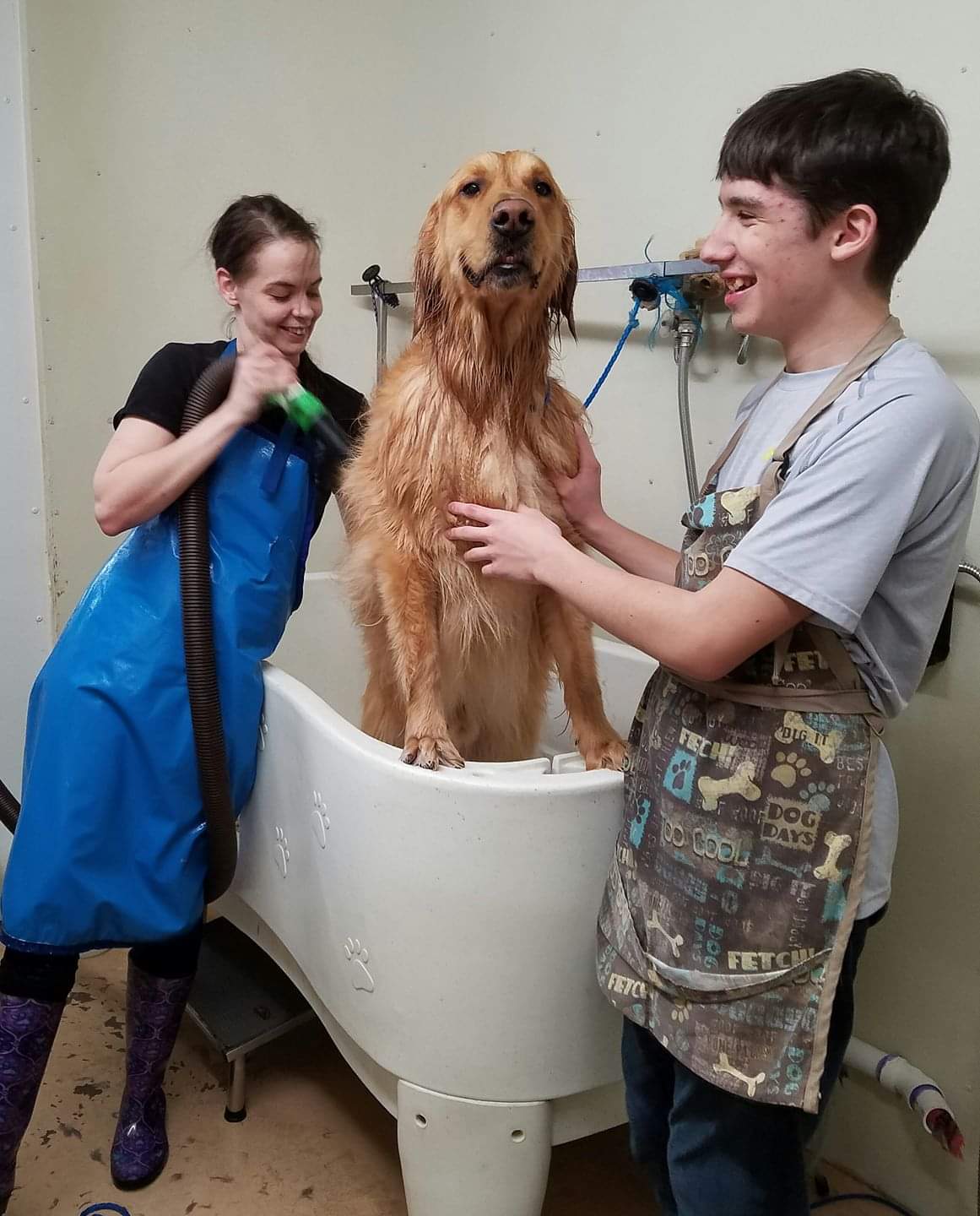 Dog being given a bath