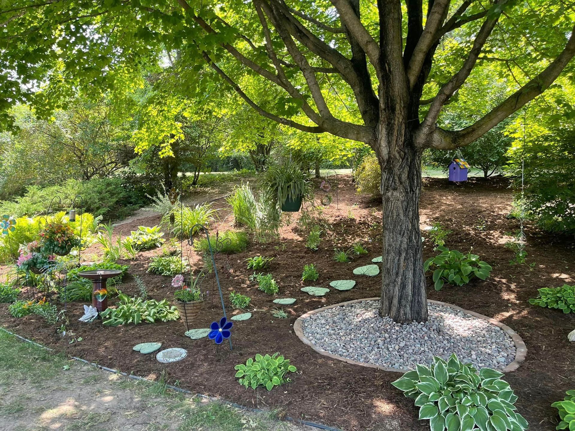 A garden with a tree in the center, featuring mulch, stepping stones, and various plants under a green canopy.