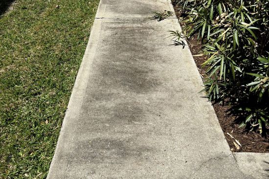 A sidewalk leads to a grassy yard with a bush in the middle.