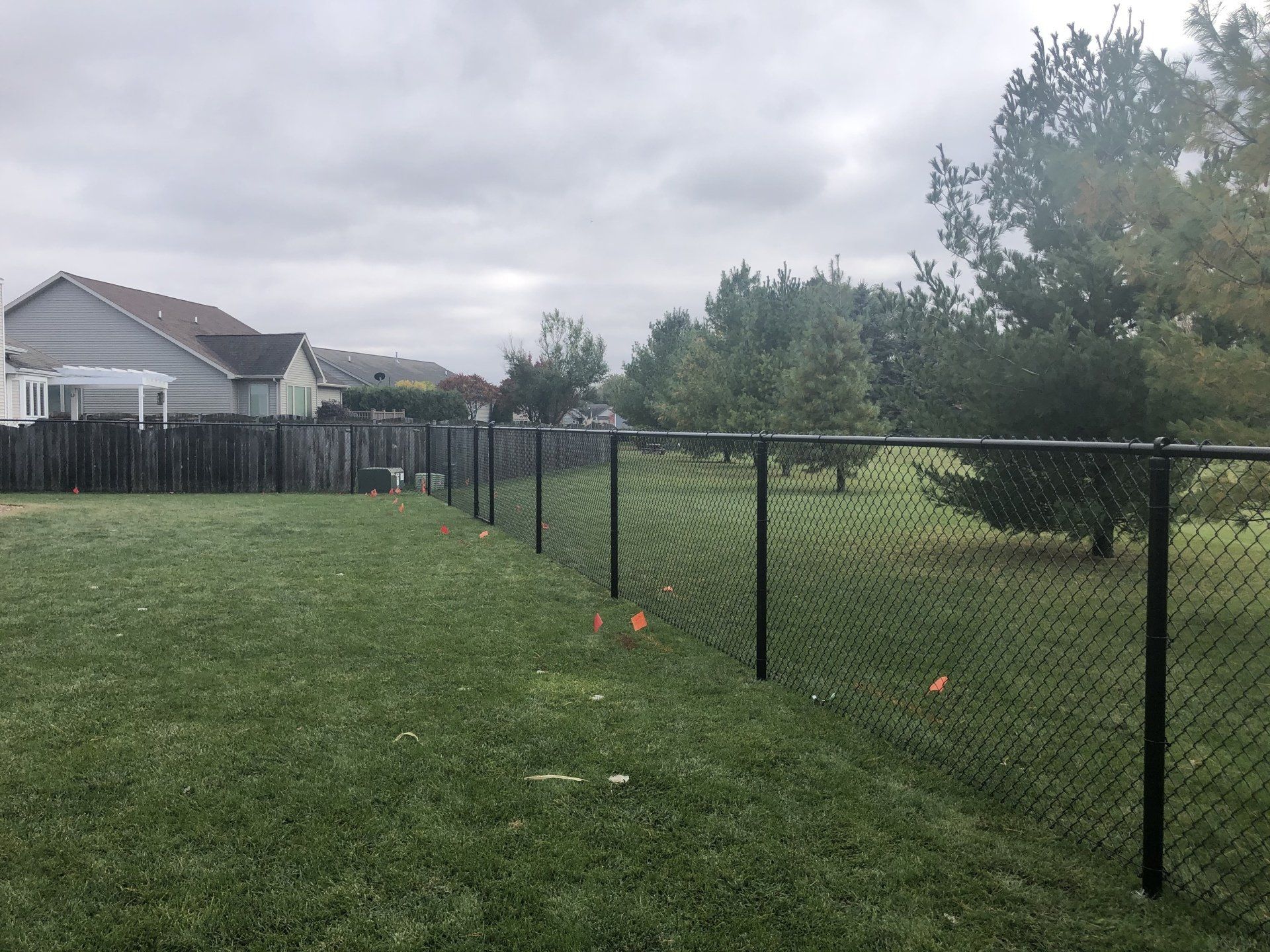 A chain link fence surrounds a lush green yard.
