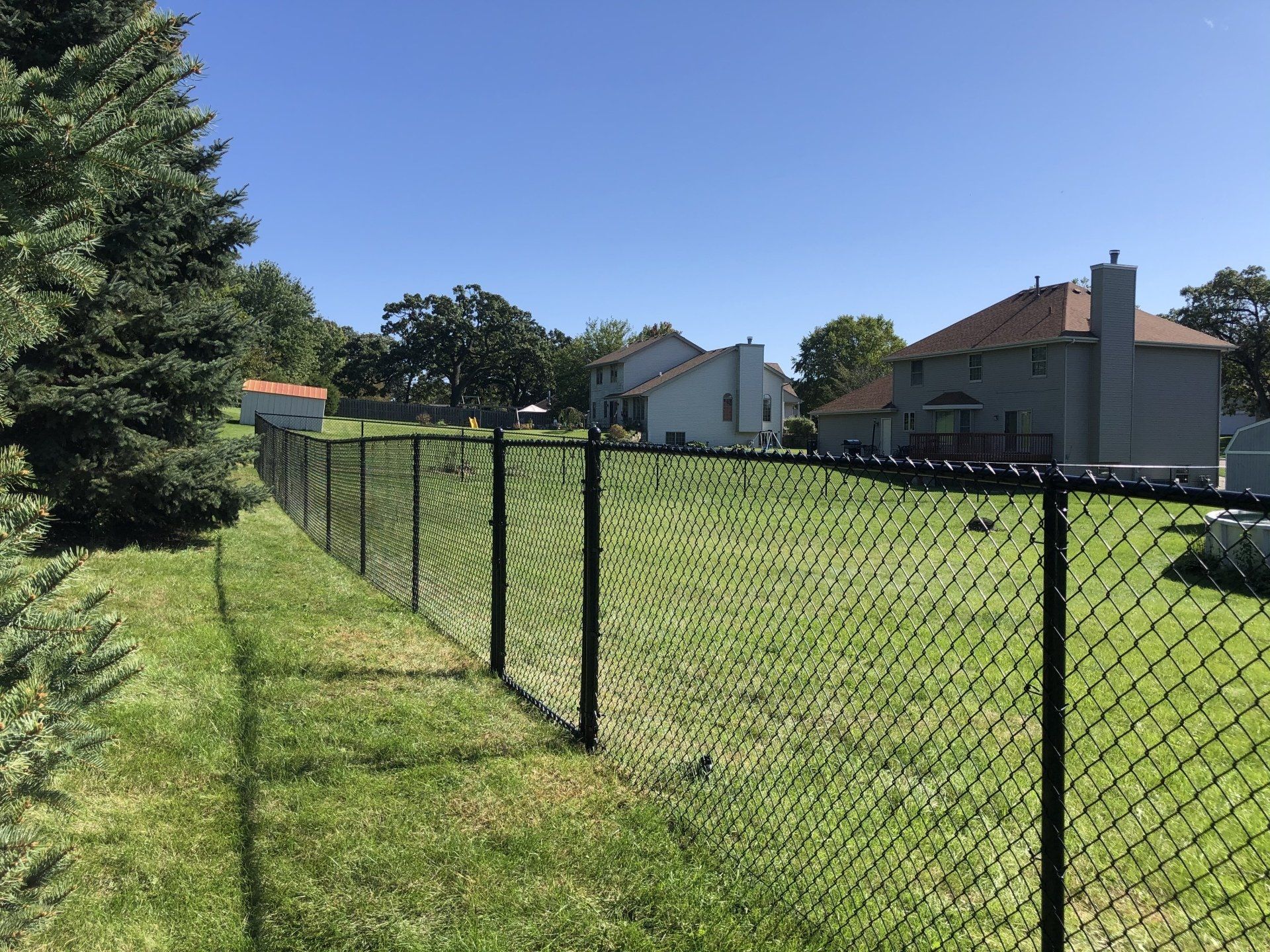 A chain link fence surrounds a lush green yard with houses in the background.