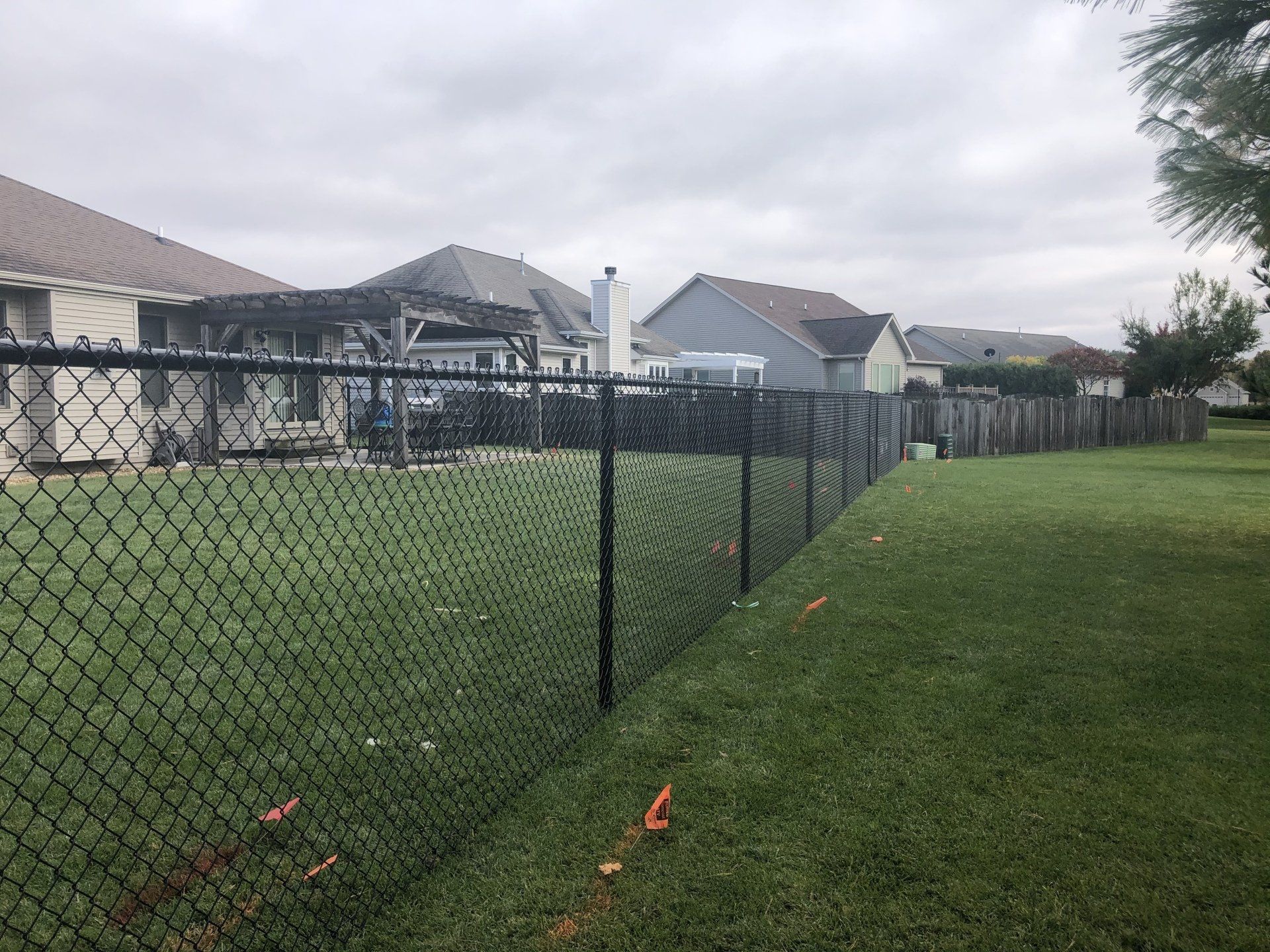 A chain link fence surrounds a lush green yard with houses in the background.