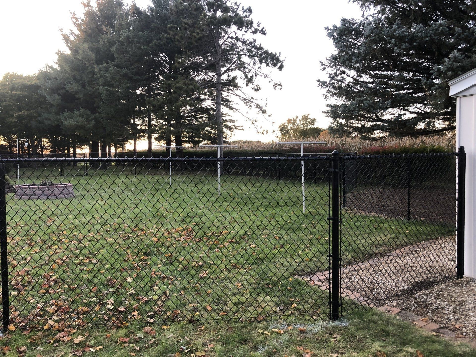 A chain link fence surrounds a grassy field with trees in the background.