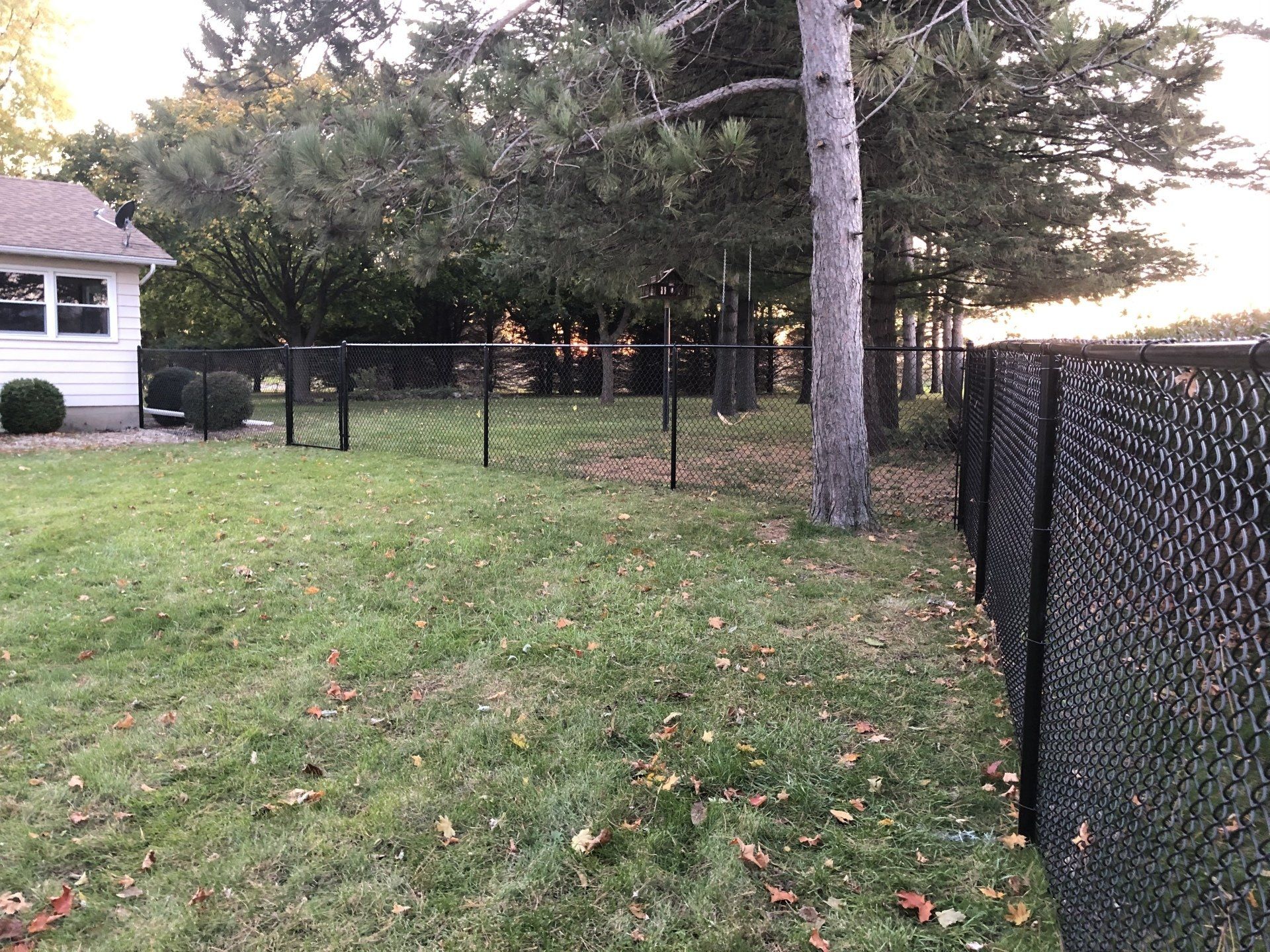 A black chain link fence surrounds a lush green yard.