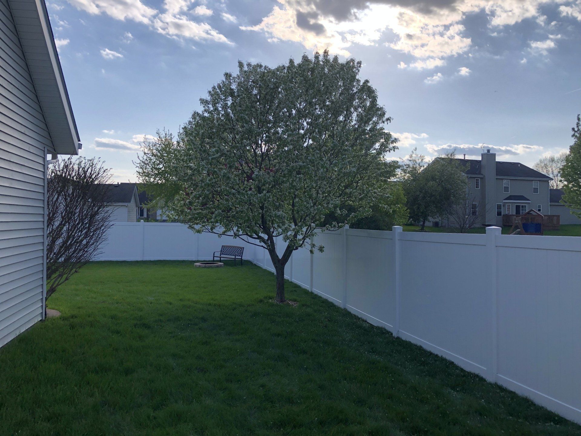 A backyard with a white fence and a tree in the middle.