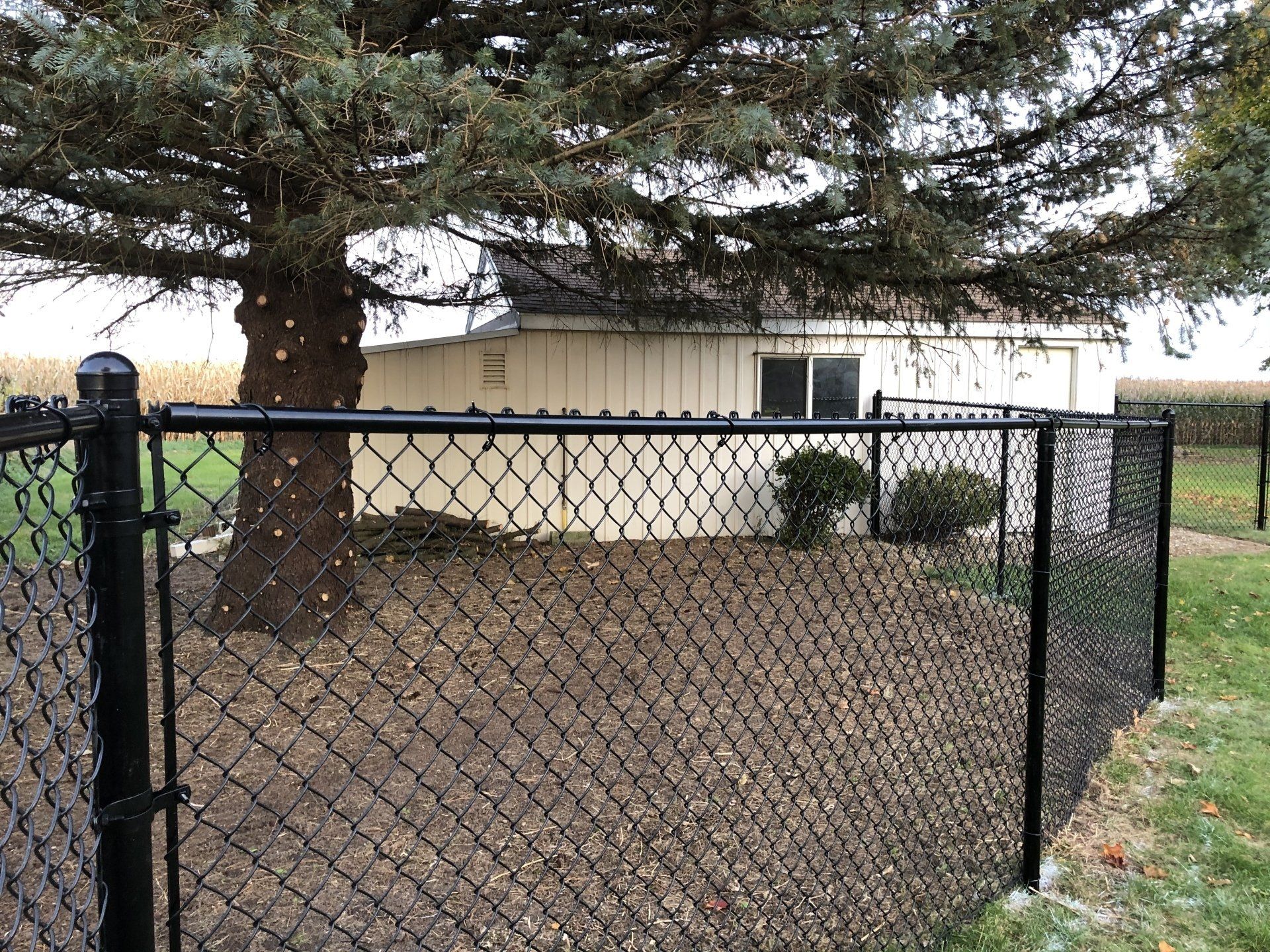 A black chain link fence is in front of a house.
