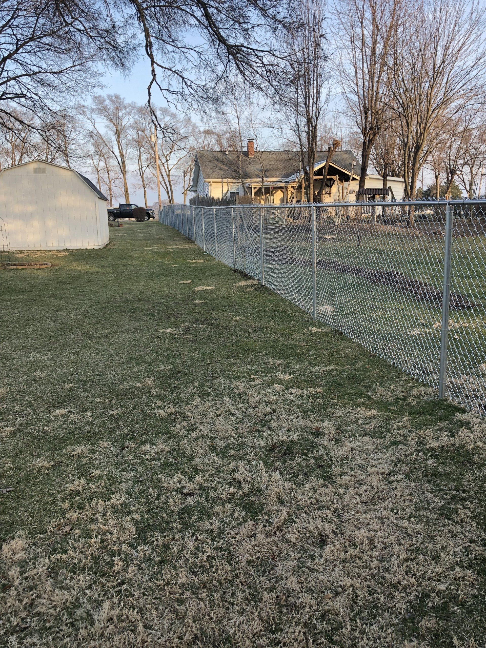 A chain link fence surrounds a grassy yard with a house in the background.