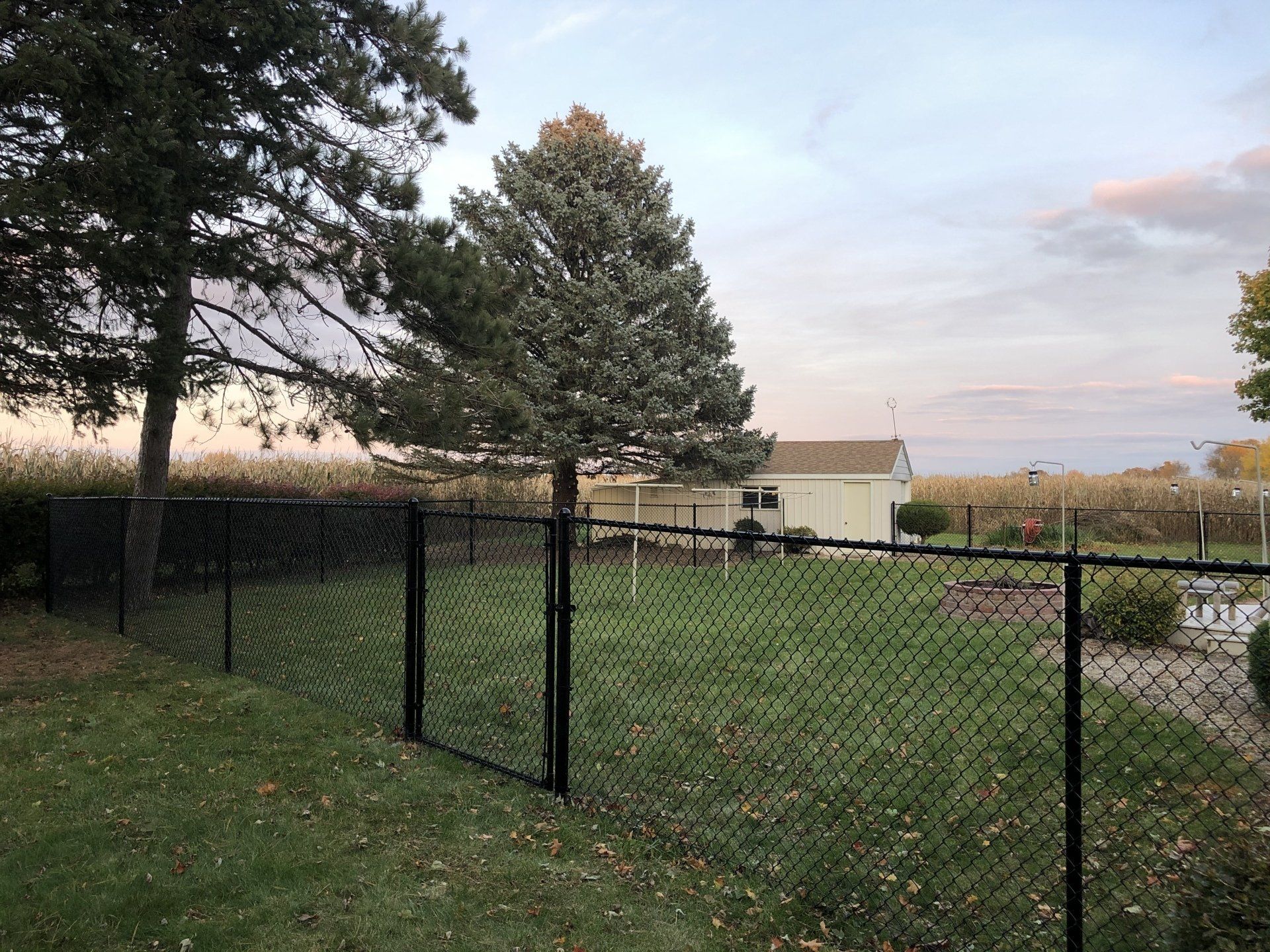 A chain link fence surrounds a yard with a house in the background.