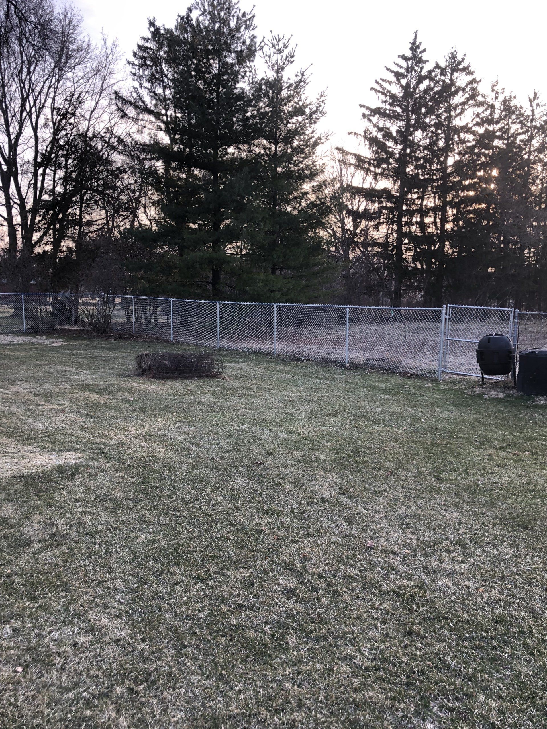 A backyard with a fence and trees in the background.