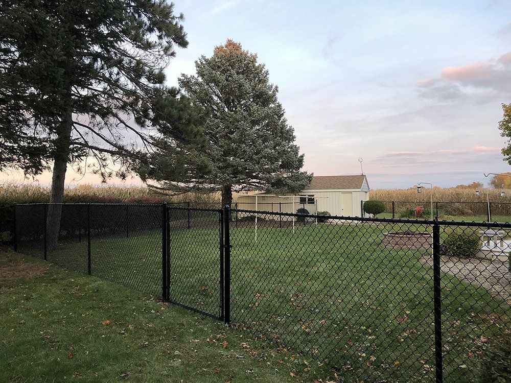 A chain link fence surrounds a grassy yard with a house in the background.